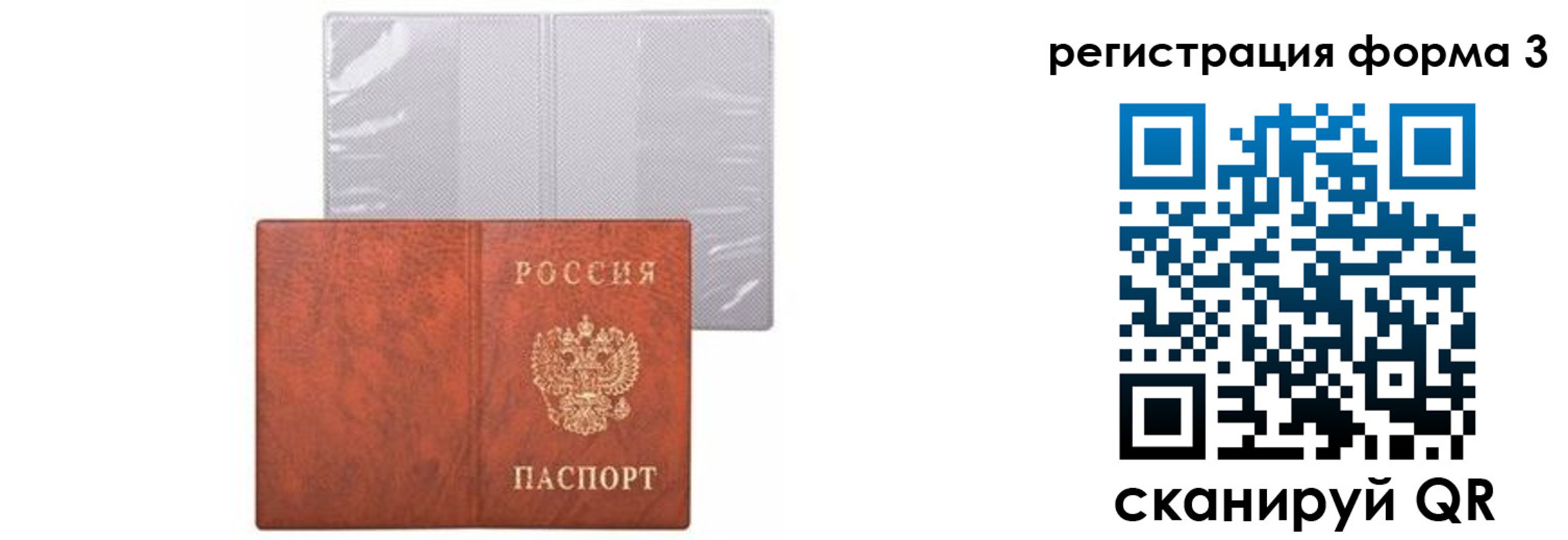 прописка 2025 в Тосно